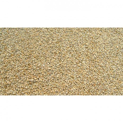 Sajjalu - Millet Grain - 1Kg