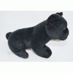 Black cat Teddy